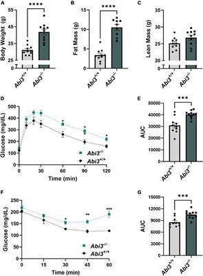 Deletion of the Alzheimer’s disease risk gene Abi3 locus results in obesity and systemic metabolic disruption in mice